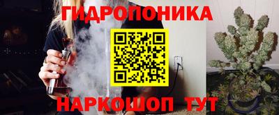 индика Мариинск
