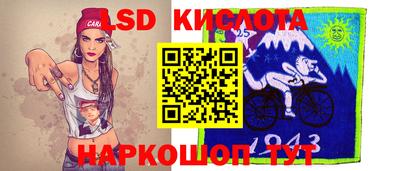 прущие грибы Можайск