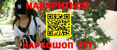 прущие грибы Можайск